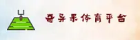 奇异果体育(QIYUGUO)官网 · 极致竞技 · A7X3